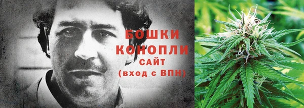 стафф Магадан