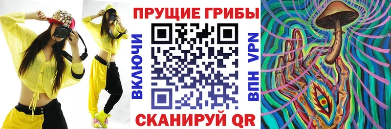 Купить закладки  Заполярный  Галлюциногенные грибы GOLDEN TEACHER 